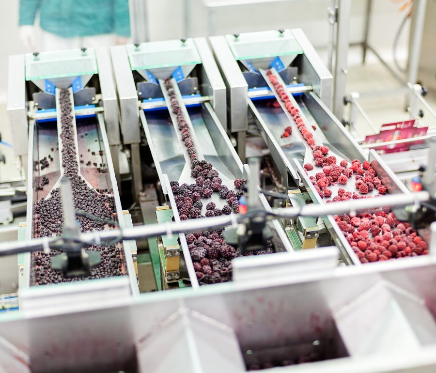 Accurate dosing of frozen fruits.