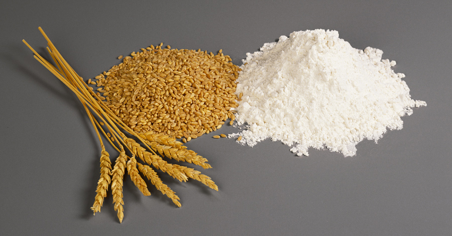 Wheat and flour.