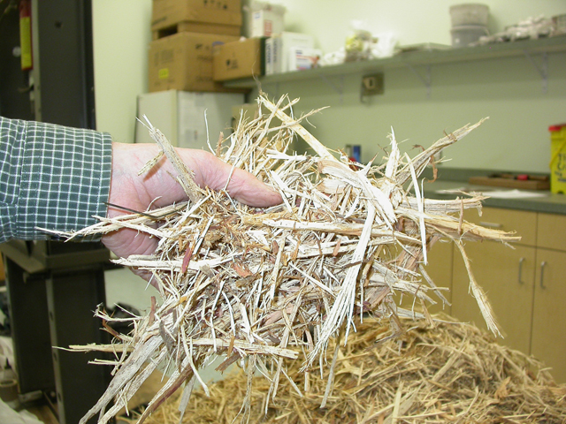 Juniper biomass - very stringy