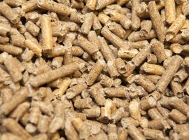 Reliable feedstock handling for biomass and MSW
