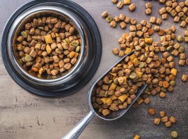 Pet food kibble