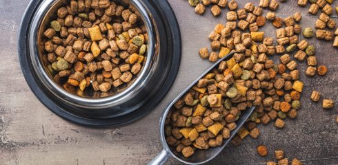 Pet food kibble